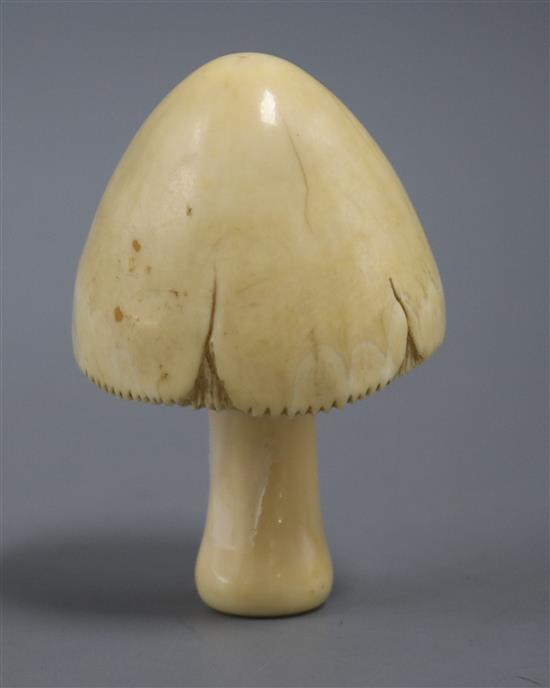 A Japanese Meiji carved ivory mushroom, H 8.5cm